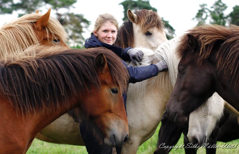 Ninja Pferdegruppe.jpg - Ninja